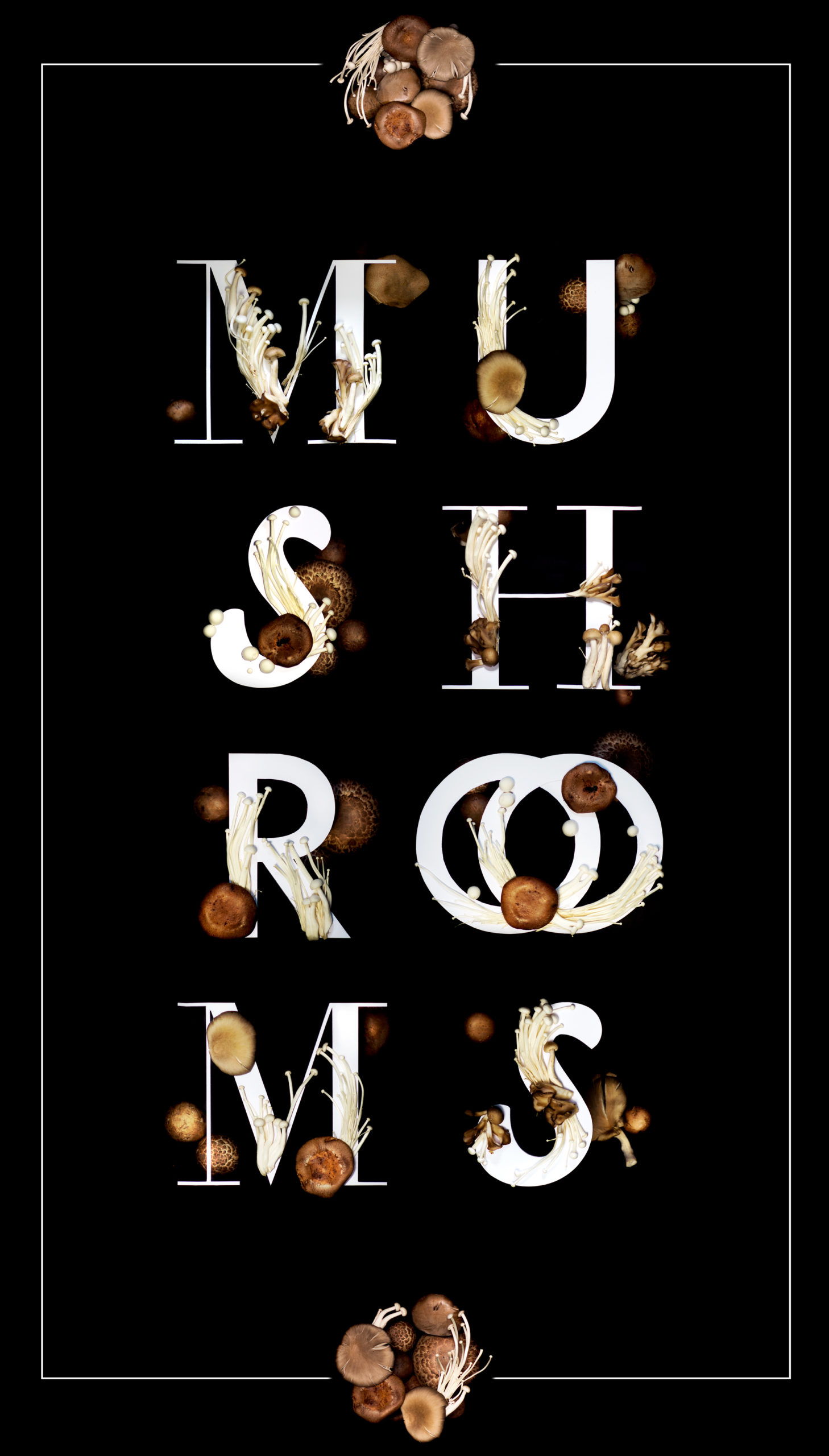 poster_mushrooms_web_poster