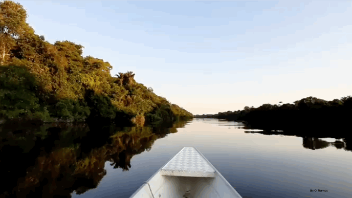 gif-barco-2